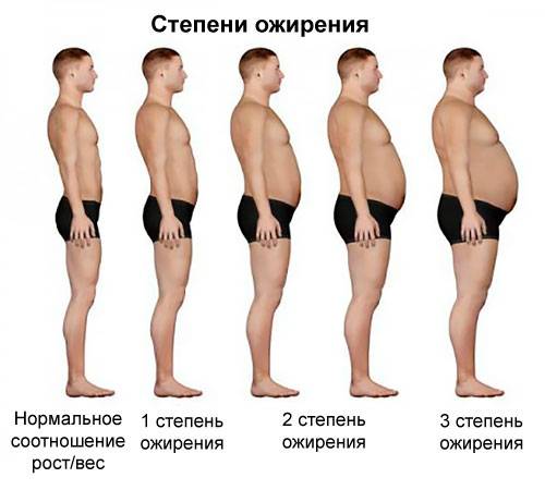 degree of obesity